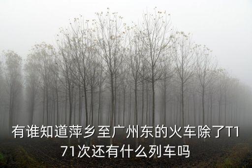 有誰知道萍鄉至廣州東的火車除了T171次還有什么列車嗎