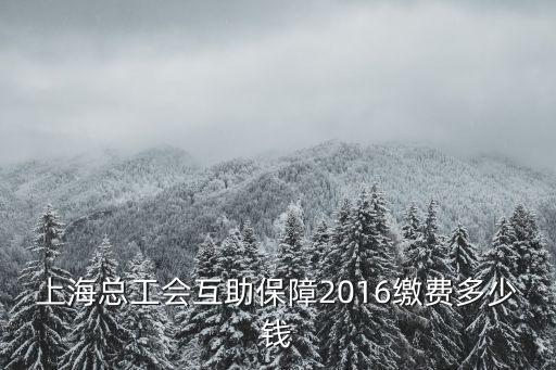 上海市總工會(huì)互助保障費(fèi)繳多少錢，2016上海總工會(huì)補(bǔ)充醫(yī)保交多少錢