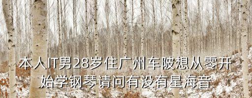 本人IT男28歲住廣州車陂想從零開始學(xué)鋼琴請問有沒有星海音