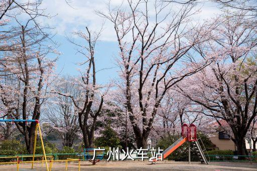 廣州站列車視頻，廣州火車站