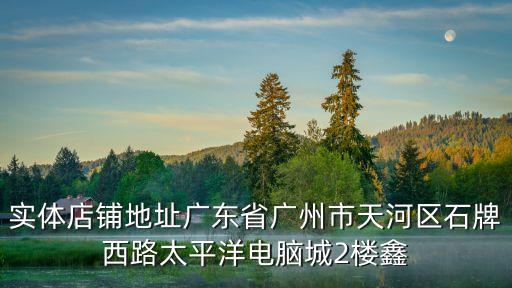 實(shí)體店鋪地址廣東省廣州市天河區(qū)石牌西路太平洋電腦城2樓鑫