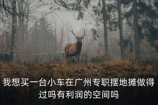 我想買一臺小車在廣州專職擺地?cái)傋龅眠^嗎有利潤的空間嗎