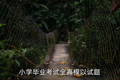 廣州版小學英語畢業考試全真模擬題集答案，小學畢業考試全真模以試題