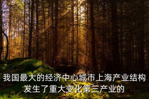 上海市三大產業發展狀況，上海的主要產業是什么