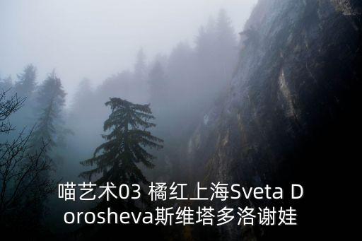 喵藝術03 橘紅上海Sveta Dorosheva斯維塔多洛謝娃