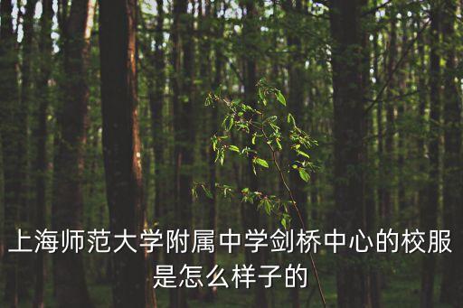 上海師范大學附屬中學劍橋中心的校服是怎么樣子的