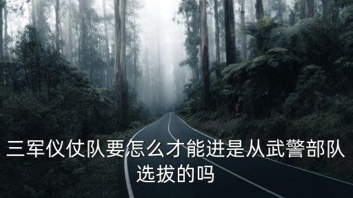 上海市有三軍儀仗隊么，三軍儀仗隊要怎么才能進是從武警部隊選拔的嗎