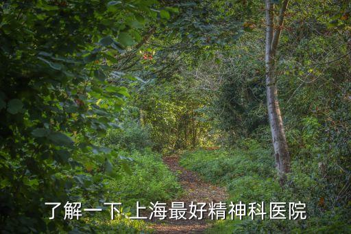 上海市權(quán)威性的精神醫(yī)院，了解一下 上海最好精神科醫(yī)院