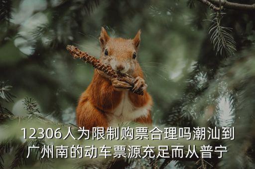 12306人為限制購票合理嗎潮汕到廣州南的動車票源充足而從普寧