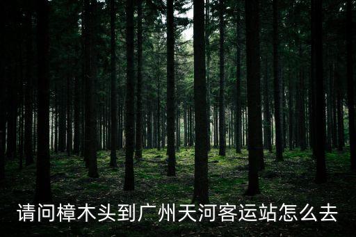 樟木頭振通車站到廣州天河客運站，樟木頭到廣州天河客運