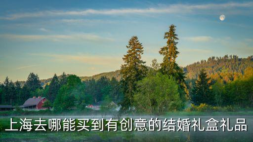 上海市定制禮盒購(gòu)買，上海哪里有賣禮品盒的例如xxx城