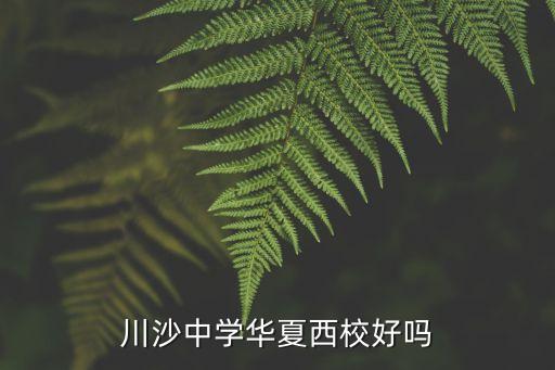 上海市川沙中學華夏西校東校區(qū)，川沙中學華夏西校好嗎