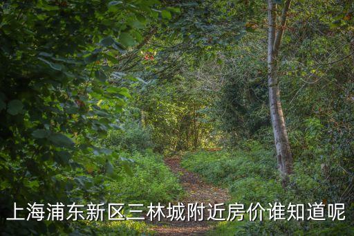 上海市三林區的樓盤，上海浦東新區三林城附近房價誰知道呢