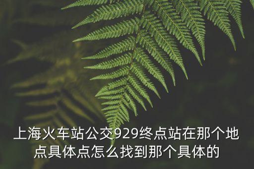 上海火車站公交929終點站在那個地點具體點怎么找到那個具體的