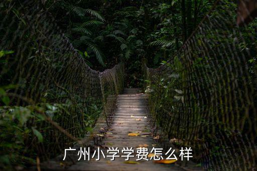 廣州教育局學(xué)費，廣州小學(xué)學(xué)費怎么樣
