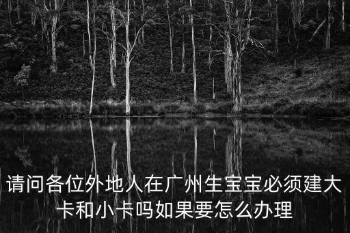 廣州市建小卡和建大卡，請問各位外地人在廣州生寶寶必須建大卡和小卡嗎如果要怎么辦理