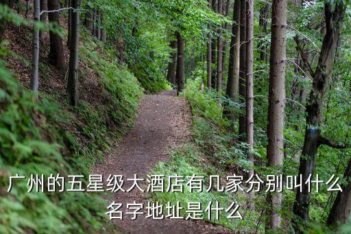 廣州朵兒大酒店，廣州296廣州一共有幾家五星酒店