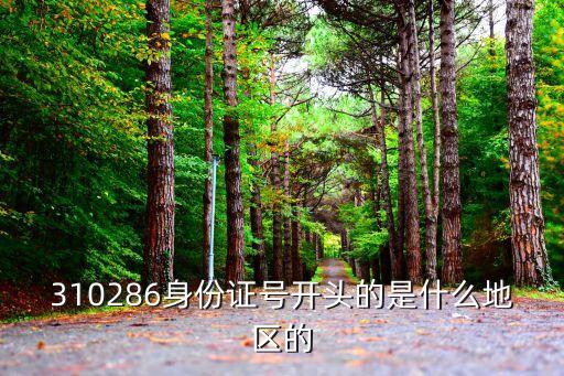 115身份證 上海市，如何在上海辦理一定身份證