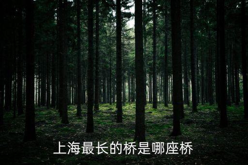 上海最長的橋是哪座橋