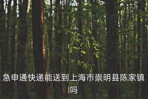 急申通快遞能送到上海市崇明縣陳家鎮(zhèn)嗎
