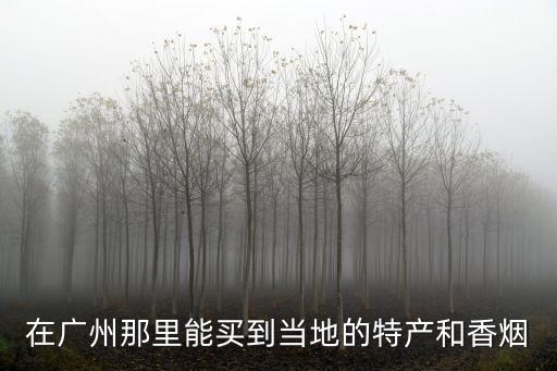 在廣州那里能買到當地的特產和香煙