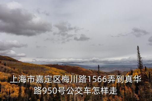 上海市嘉定區梅川路1566弄到真華路950號公交車怎樣走
