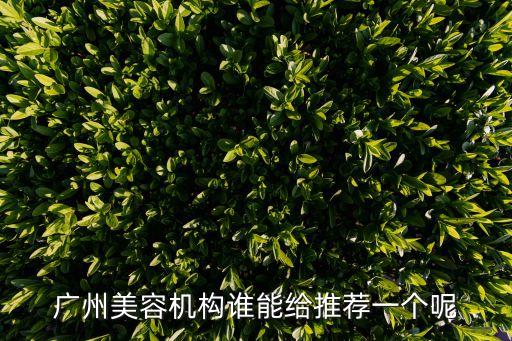 廣州雪曼婷美容院，廣州美容機構誰能給推薦一個呢