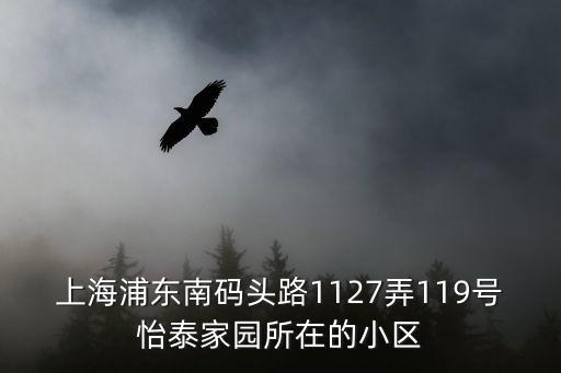 上海浦東南碼頭路1127弄119號(hào)怡泰家園所在的小區(qū)