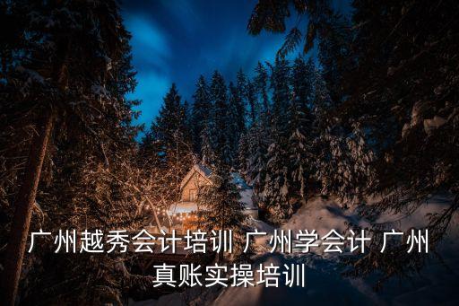 廣州越秀會計(jì)培訓(xùn) 廣州學(xué)會計(jì) 廣州真賬實(shí)操培訓(xùn)