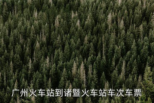 k210從廣州到諸暨哪個站，K210K211從廣州到諸暨是在廣州哪個站上車呀