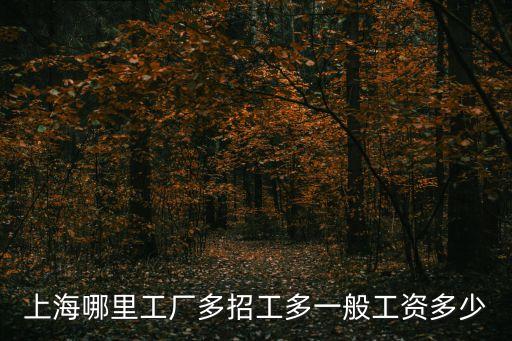 上海哪里工廠多招工多一般工資多少