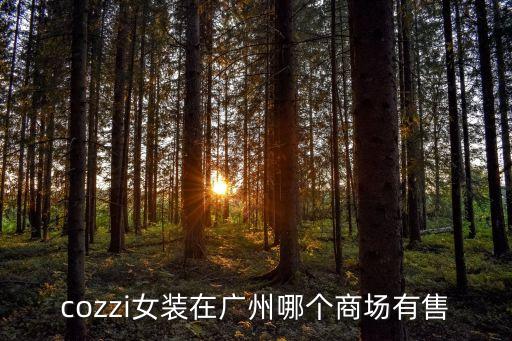 廣州諾詩琪女裝，cozzi女裝在廣州哪個商場有售