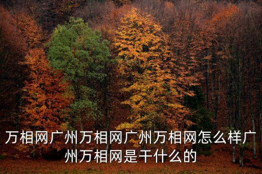 萬(wàn)相網(wǎng)廣州萬(wàn)相網(wǎng)廣州萬(wàn)相網(wǎng)怎么樣廣州萬(wàn)相網(wǎng)是干什么的