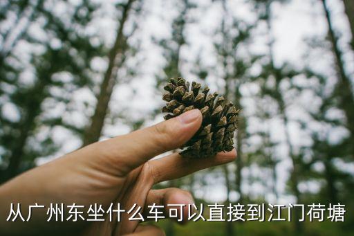 廣州到江門荷塘的汽車，從廣州東坐什么車可以直接到江門荷塘