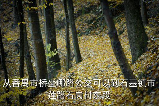 從番禺市橋坐哪路公交可以到石基鎮(zhèn)市蓮路石崗村東段