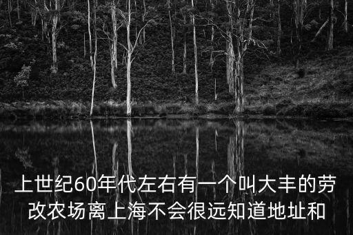 上海市大豐區四岔河海豐農場，上世紀60年代左右有一個叫大豐的勞改農場離上海不會很遠知道地址和