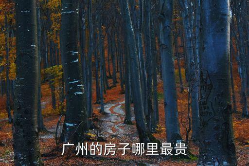 廣州的房子哪里最貴