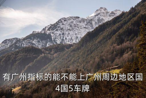 有廣州指標的能不能上廣州周邊地區國4國5車牌