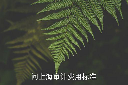 上海市審計取費(fèi)標(biāo)準(zhǔn)，問上海審計費(fèi)用標(biāo)準(zhǔn)