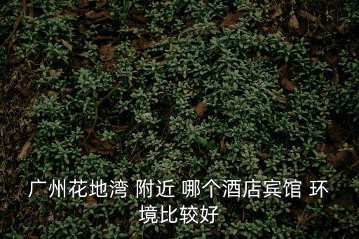 廣州花地灣 附近 哪個(gè)酒店賓館 環(huán)境比較好