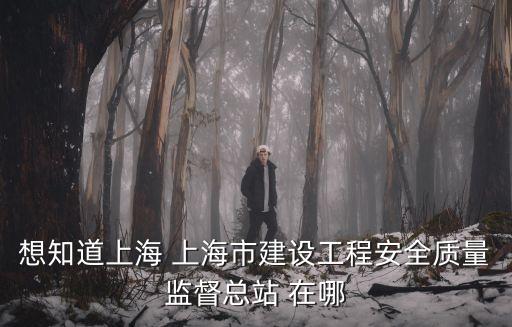 上海市交通工程安全質(zhì)量監(jiān)督管理總站，想知道上海 上海市建設(shè)工程安全質(zhì)量監(jiān)督總站 在哪