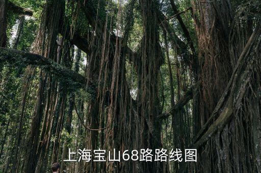 上海市68路公交線，上海寶山68路路線圖