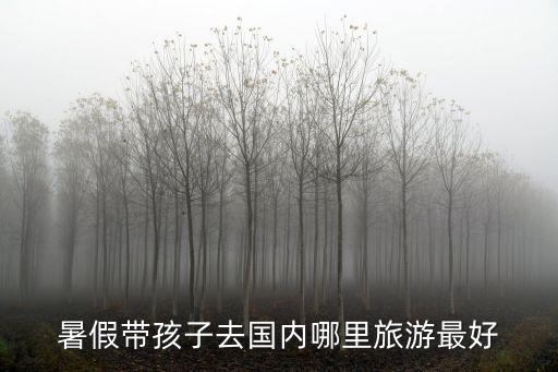 暑假帶孩子去國內哪里旅游最好