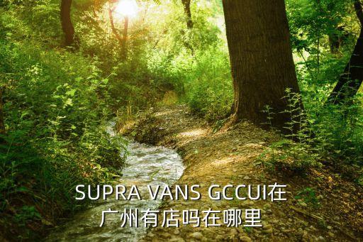 SUPRA VANS GCCUI在廣州有店嗎在哪里