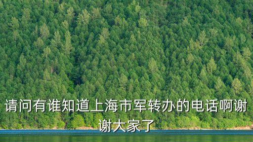 2021上海市轉(zhuǎn)業(yè)軍人，上海今年退伍安排什么工作