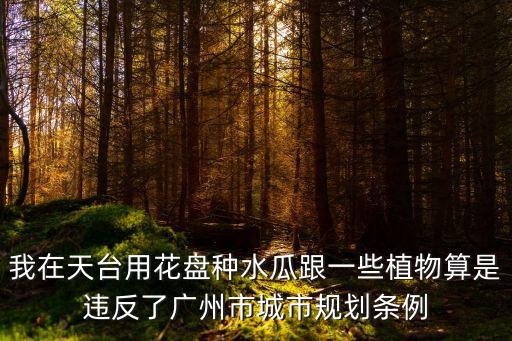 我在天臺用花盤種水瓜跟一些植物算是違反了廣州市城市規劃條例