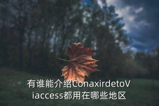 廣州索沃視訊科技，Solkey315 這個東西怎么進行設置 攝像頭老打不開