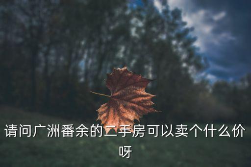請問廣洲番余的二手房可以賣個什么價呀