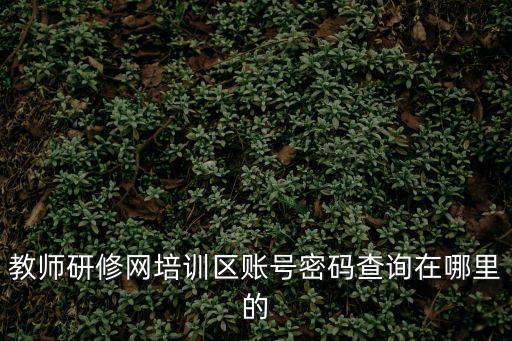 教師研修網培訓區賬號密碼查詢在哪里的