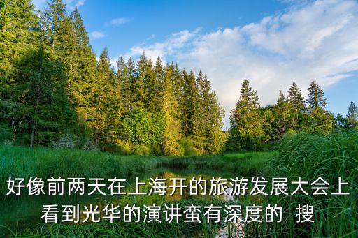 好像前兩天在上海開的旅游發(fā)展大會上看到光華的演講蠻有深度的  搜